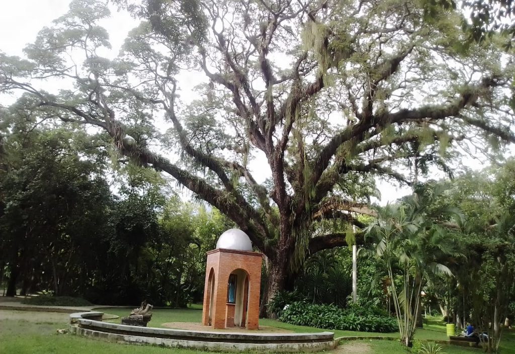 Imagen-Para-Jardin-Botanico-De-NaguaNagua-Por-Tu Mercado Ferretero