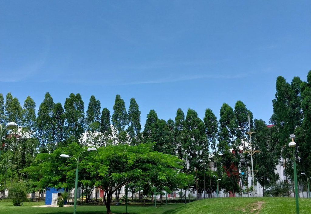 Imagen-Para-Parque-Municipal-Simon-Bolivar-Guacara-Por-Tu Mercado Ferretero