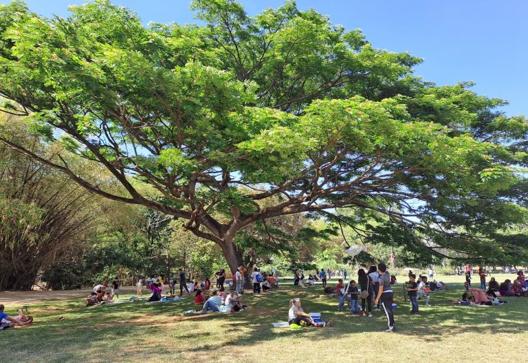 Imagen-Para-Parque-Negra-Hipolita-Valencia-Por-Tu Mercado Ferretero