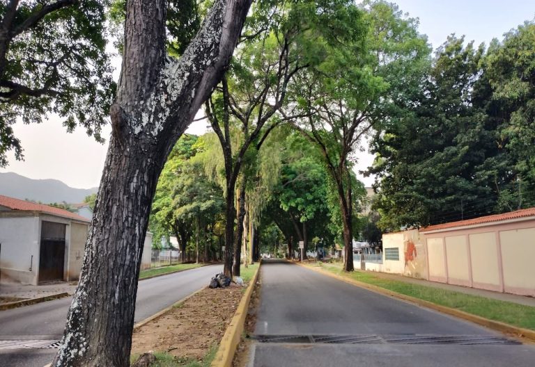 Imagen-Para-Calles-De-El-Trigal-Por-Tu Mercado Ferretero