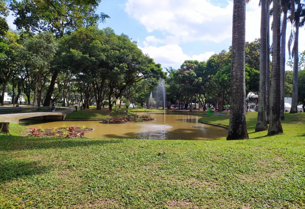 Imagen-Para-Plaza-Dr-Fabian-De-Jesus-Por-Tu Mercado Ferretero