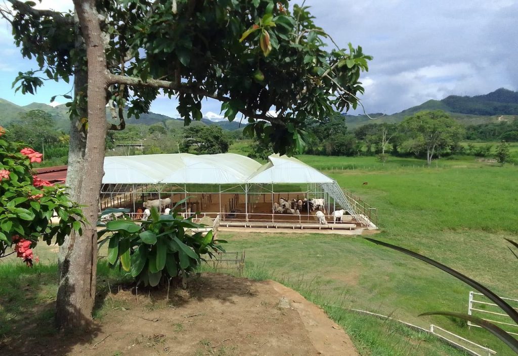 Imagen-Para-Zona-Agricola-Bejuma-Por-Tu Mercado Ferretero